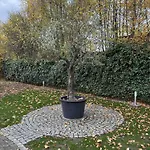 Ferienhaus Hideaway