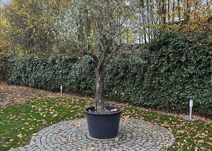 Casa de Férias Hideaway